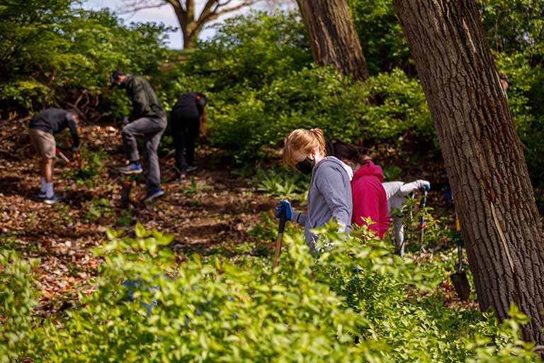 IU South Bend students volunteering to clean up campus and plant new trees on arbor day.